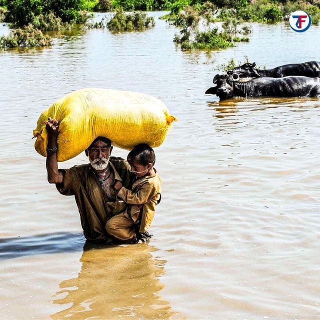 Disaster Relief